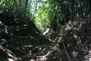f0193521_20384681.jpg