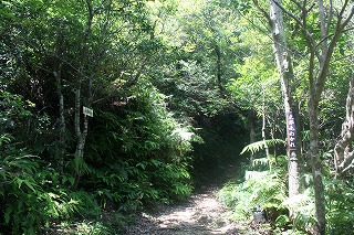 f0193521_203923100.jpg