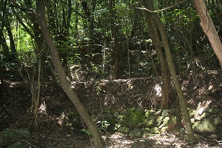 f0193521_2039274.jpg