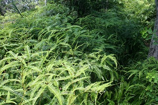 f0193521_20402565.jpg