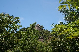 f0193521_2041534.jpg