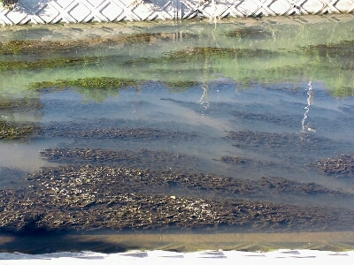 b0259124_20461011.jpg