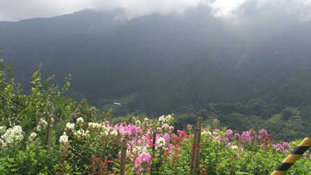 c0109726_11392022.jpg