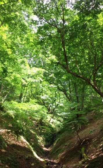 e0291427_8513171.jpg