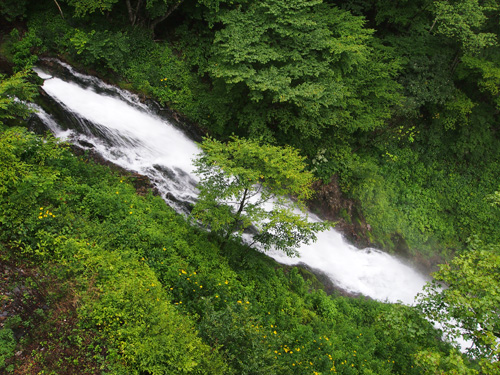 b0175635_15574990.jpg