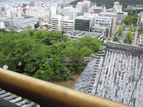 f0157736_862649.jpg