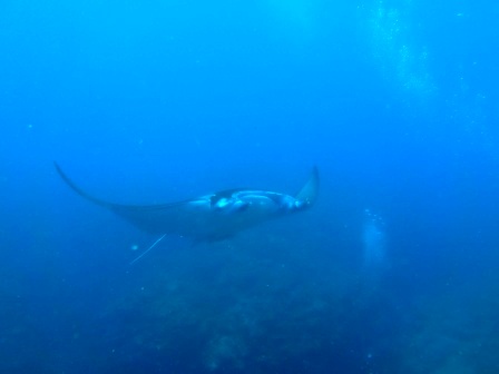 a0189838_22132681.jpg