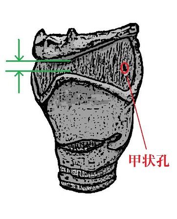 だみ声って何？_e0146240_1352675.jpg