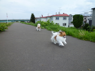 b0122262_13211552.jpg