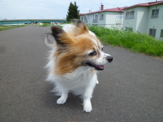 b0122262_132249.jpg