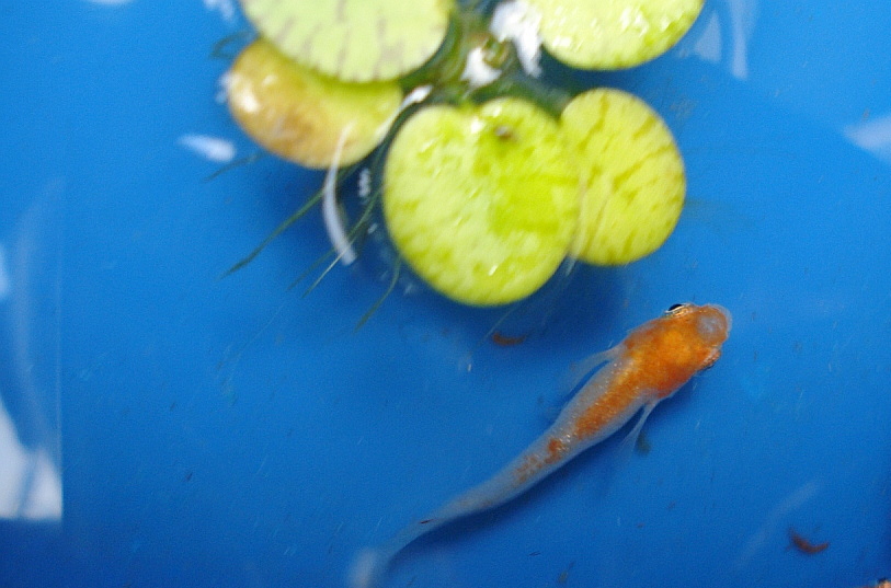 d0259570_0122467.jpg