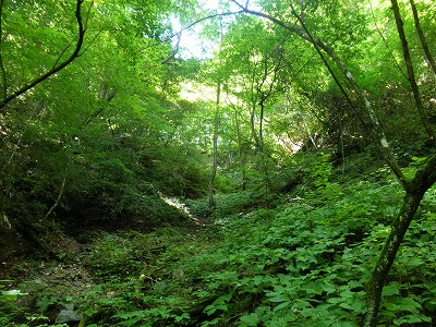 f0057070_22472361.jpg