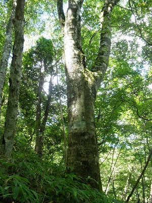 f0057070_22473926.jpg