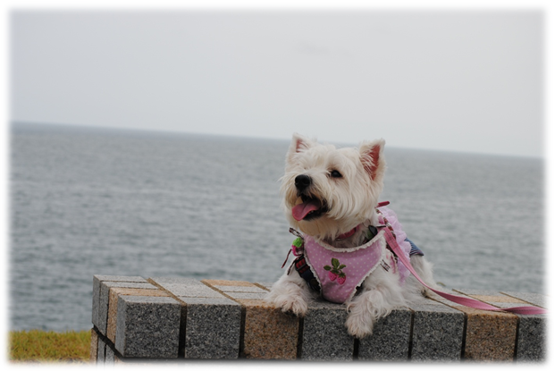 b0242873_2339507.png