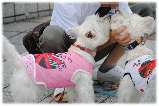 b0242873_2340816.png