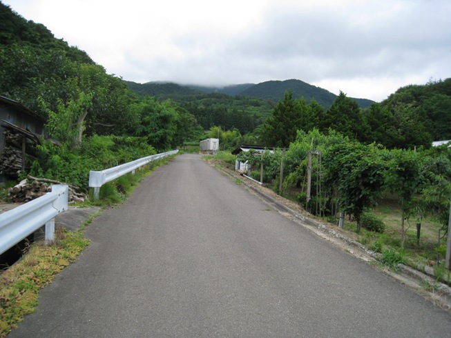 半田銀山散歩の続き②～半田発電所跡付近_a0087378_4333433.jpg