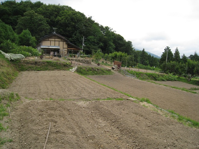 半田銀山散歩の続き②～半田発電所跡付近_a0087378_4433120.jpg