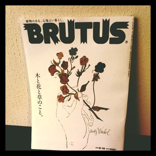 木と花と草のこと。_a0133078_9352823.jpg