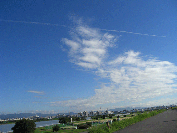 c0095679_14595811.gif