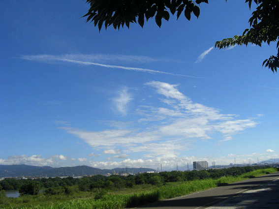 c0095679_150154.gif
