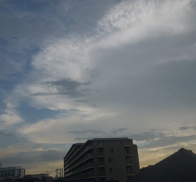 b0097482_0798.jpg