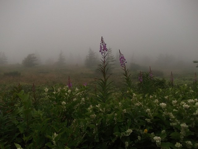 c0212083_23281086.jpg