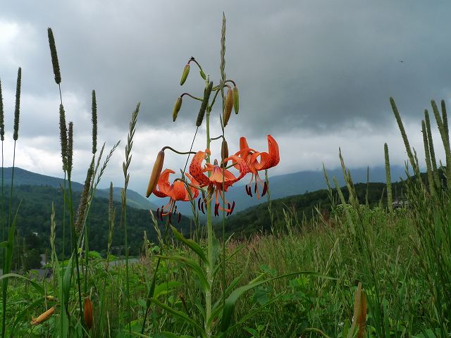 c0212083_2381968.jpg