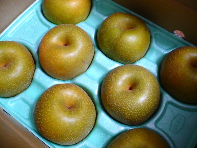 c0198685_19513261.jpg
