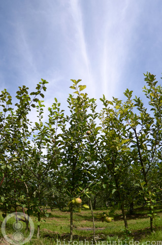 c0229485_216272.jpg