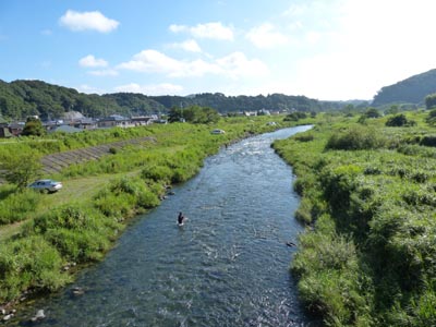 中津川　鮎　カンボ！_c0146788_1914479.jpg