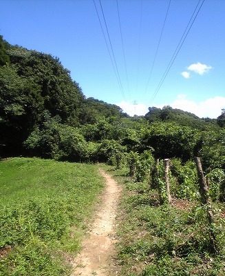 2012 夏　俺チャレ　福智～皿倉縦走編_f0220089_17444417.jpg