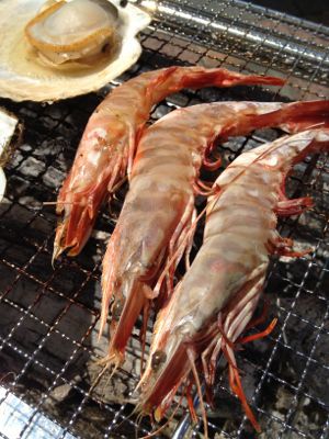 どてショク_a0134394_1249147.jpg