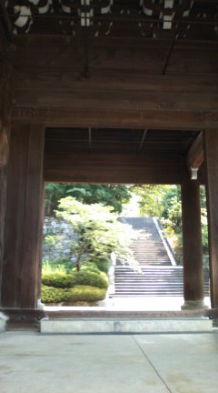 残暑のお散歩その１　：円山公園～知恩院_b0205694_1945168.jpg