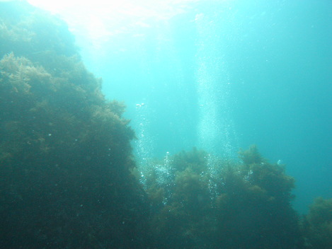 e0115199_13212949.jpg