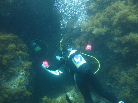 e0115199_13333310.jpg