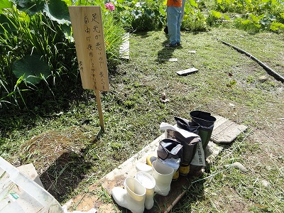 c0125501_75390.jpg