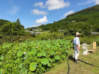 小さな親切_c0125501_785064.jpg