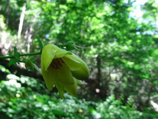 f0187402_10531610.jpg