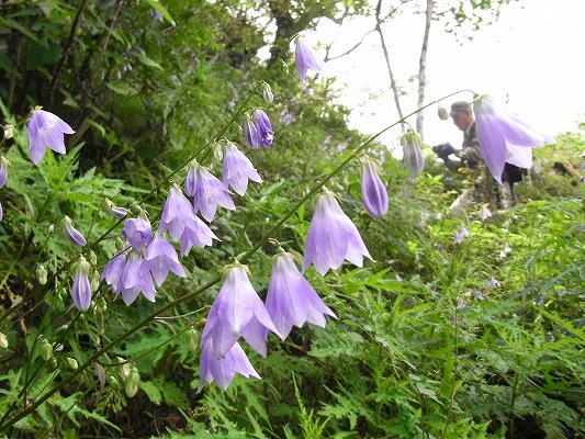 f0187402_10534048.jpg