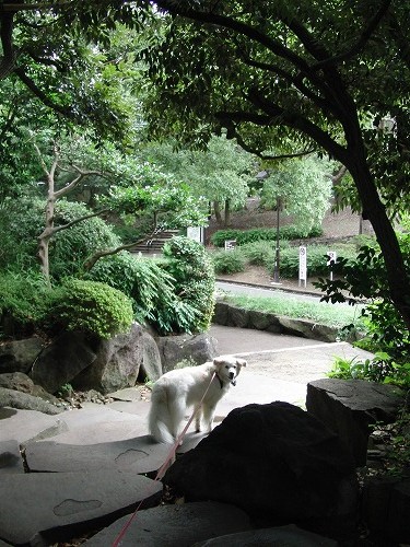 a0032004_5473040.jpg