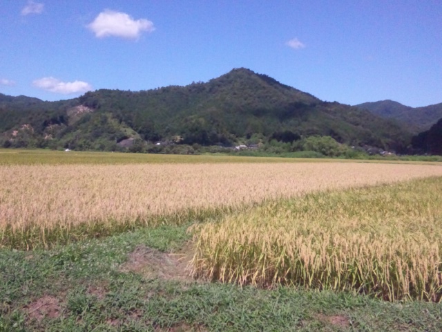 e0252905_17301937.jpg