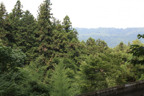 b0129008_19273360.jpg