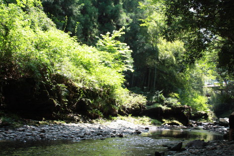 b0129008_19415359.jpg