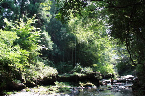 b0129008_19433445.jpg