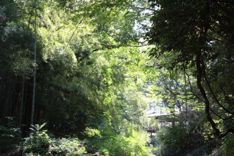 b0129008_19501773.jpg