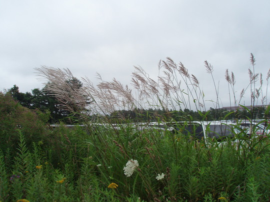 b0198109_20512238.jpg