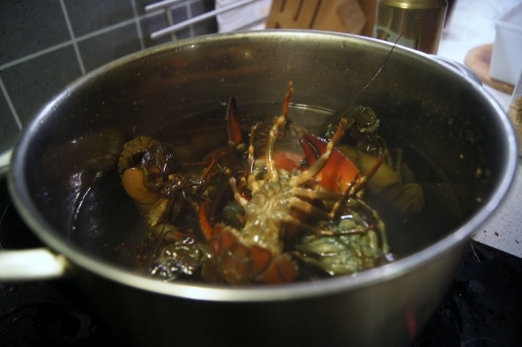 ザリガニ茹でました。_d0241813_038453.jpg