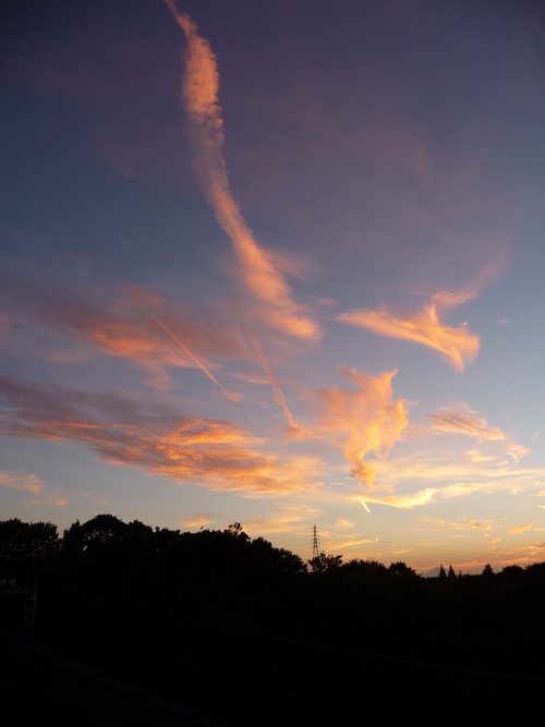 b0087914_21144736.jpg