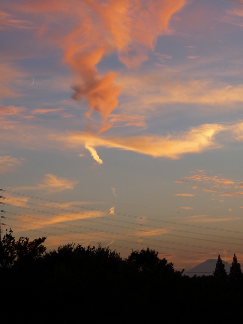 b0087914_2116194.jpg