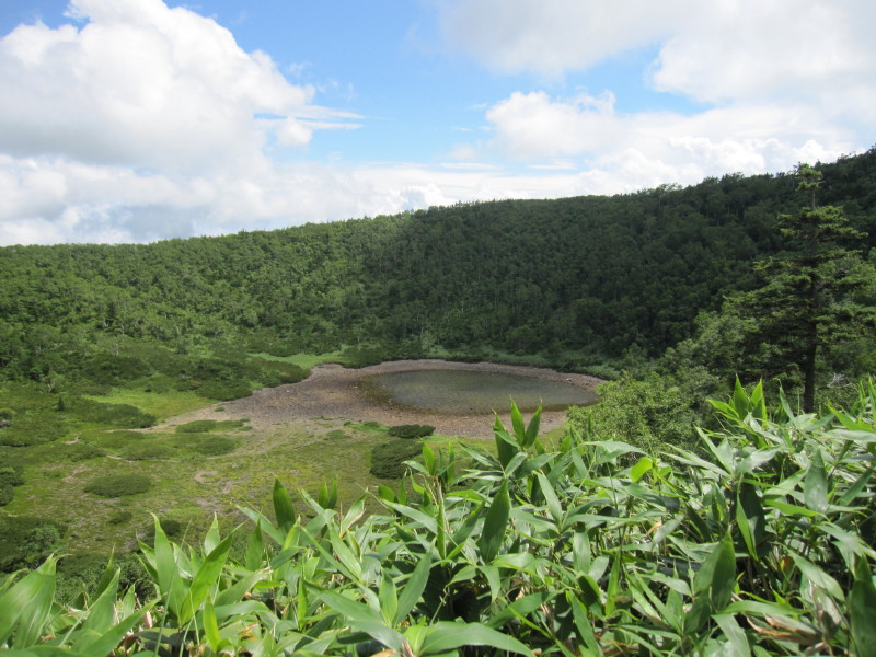 d0103314_1421350.jpg